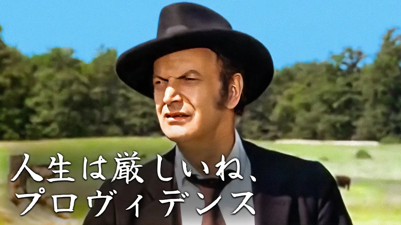 人生は厳しいね、プロヴィデンス