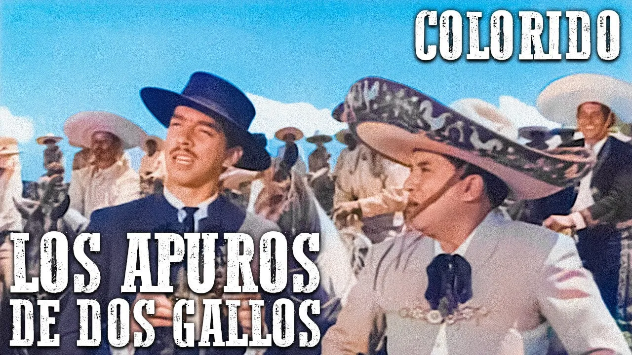 Los apuros de dos gallos