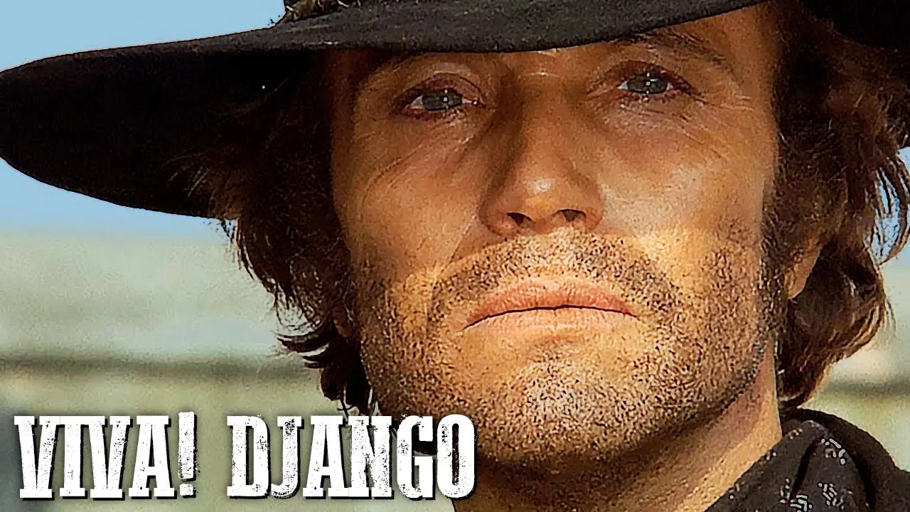 Viva! Django
