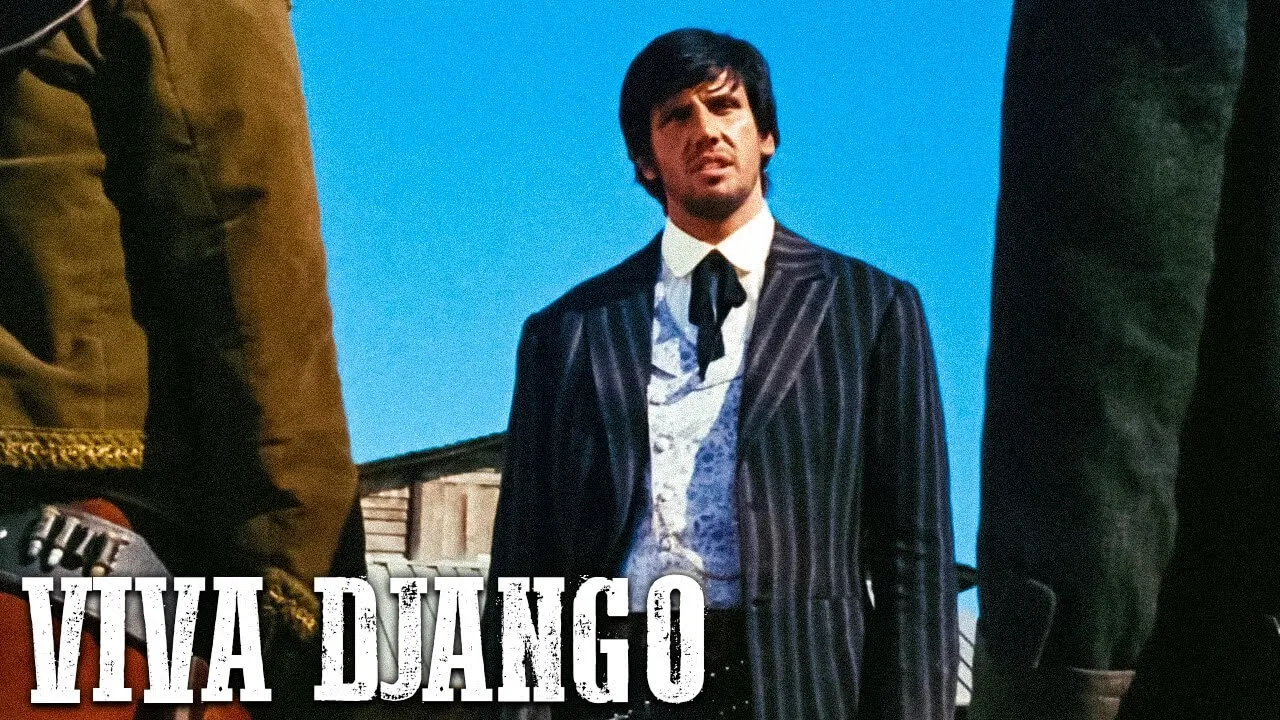 Viva Django