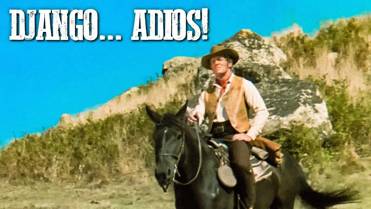 Django... Adiós!